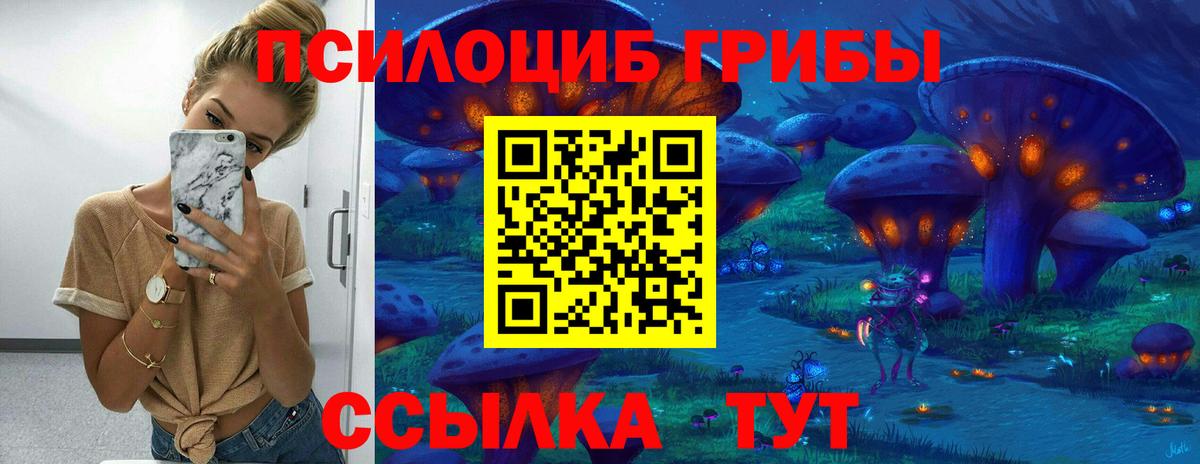 Псилоцибиновые грибы мицелий  Вход с VPN  Псилоцибиновые грибы мицелий  Геленджик 