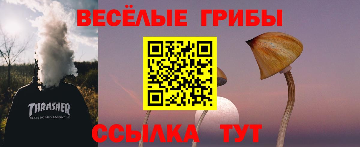 Галлюциногенные грибы ЛСД Геленджик